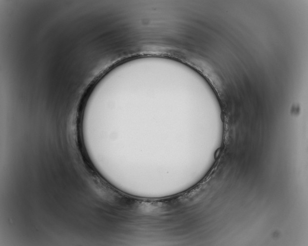 X0000102370346200808291254