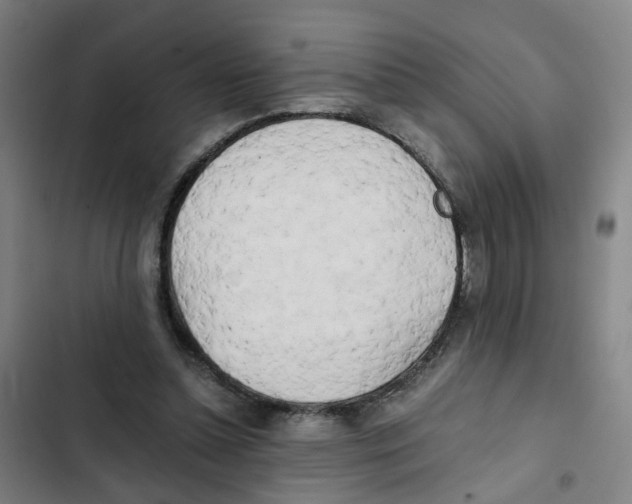X0000102370348200808291254