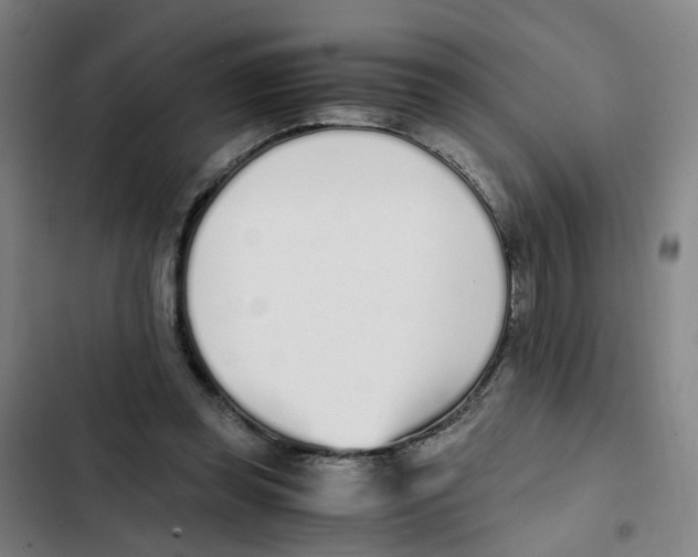 X0000102370349200808291254