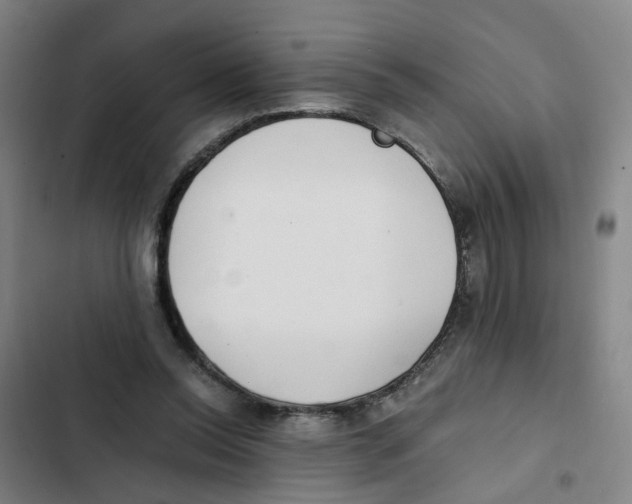 X0000102370350200808291254