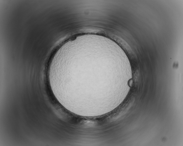 X0000102370352200808291254