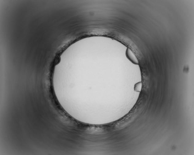 X0000102370354200808291254