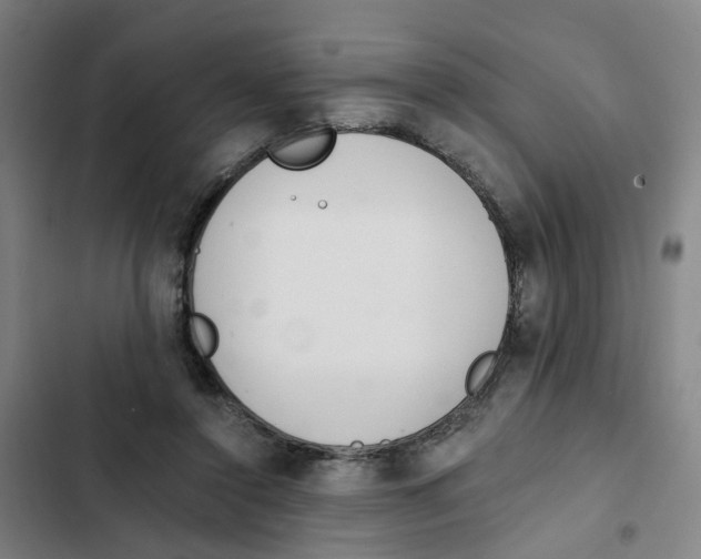 X0000102370356200808291254