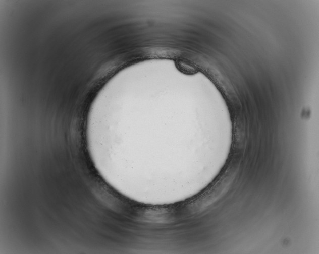 X0000102370357200808291254