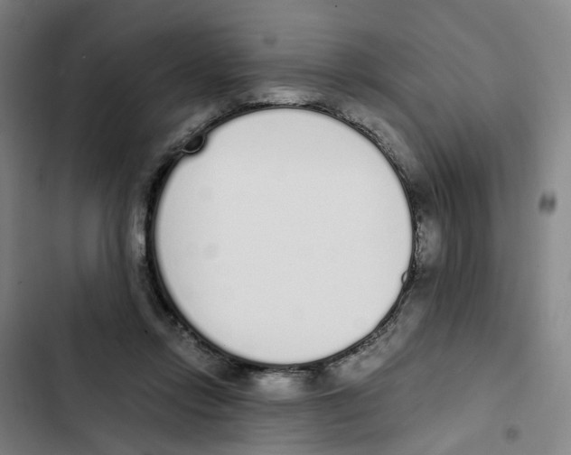 X0000102370358200808291254