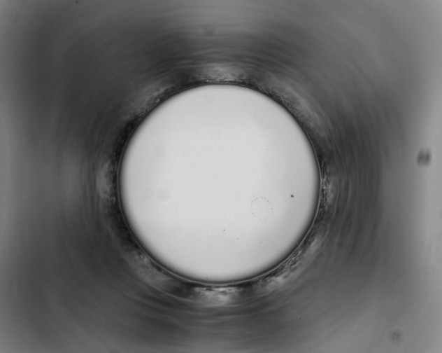 X0000102370359200808291254