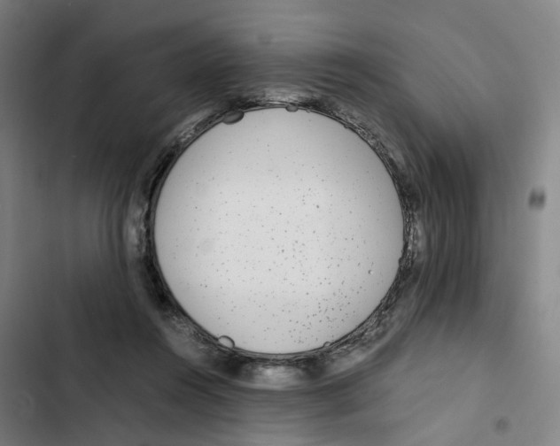 X0000102370360200808291254