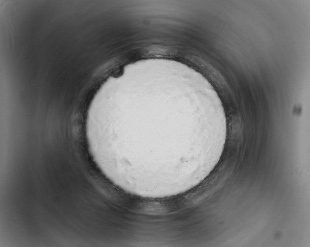 X0000102370361200808291255