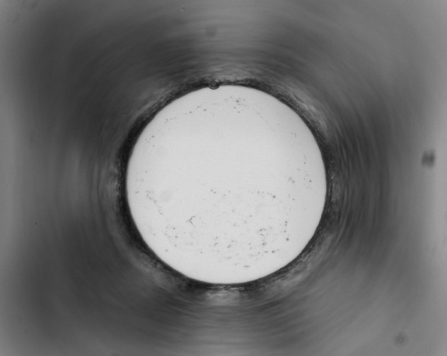 X0000102370362200808291255