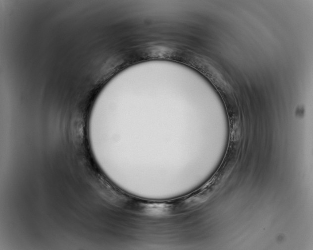 X0000102370363200808291255