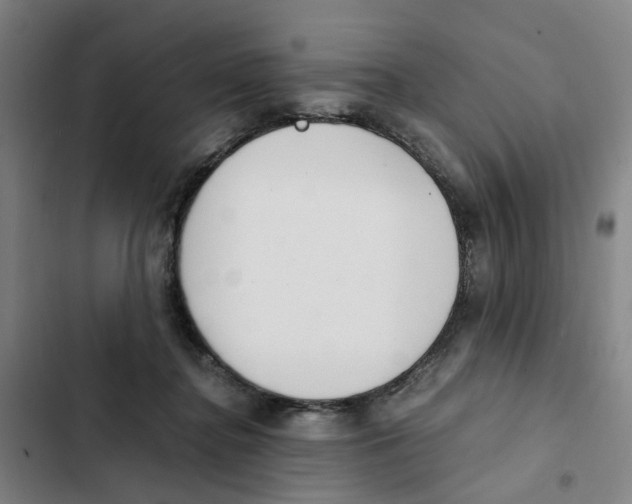 X0000102370364200808291255