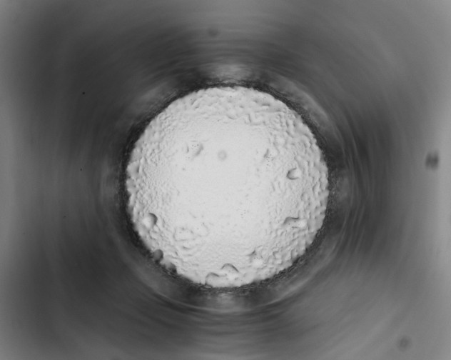 X0000102370365200808291255