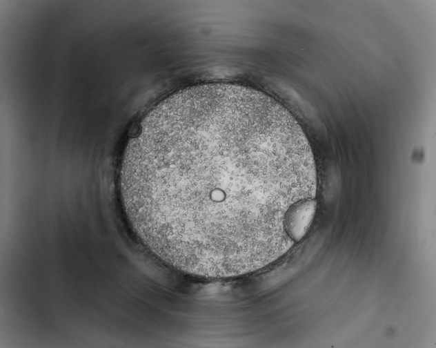 X0000102370366200808291255