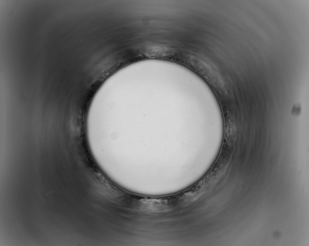 X0000102370367200808291255