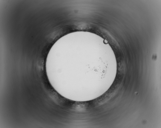 X0000102370368200808291255