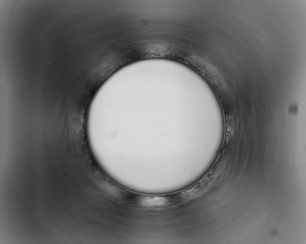 X0000102370369200808291255