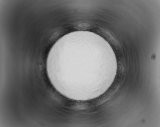 X0000102370371200808291255