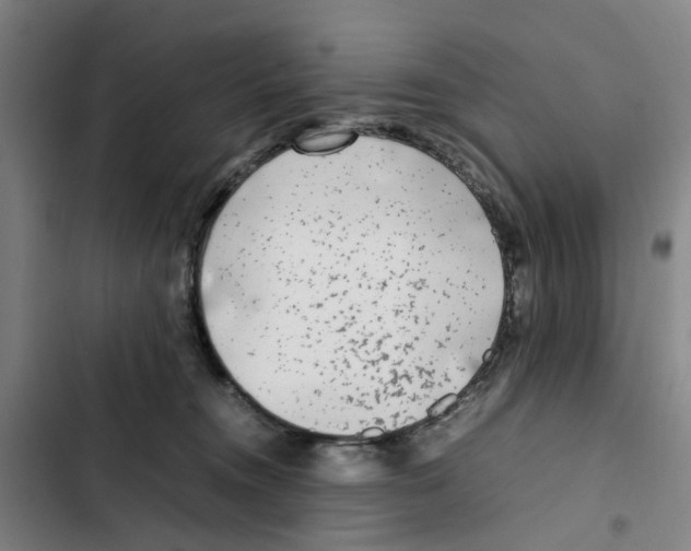 X0000102370372200808291255