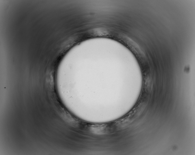 X0000102370373200808291255