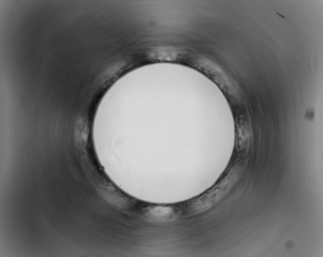 X0000102370374200808291255
