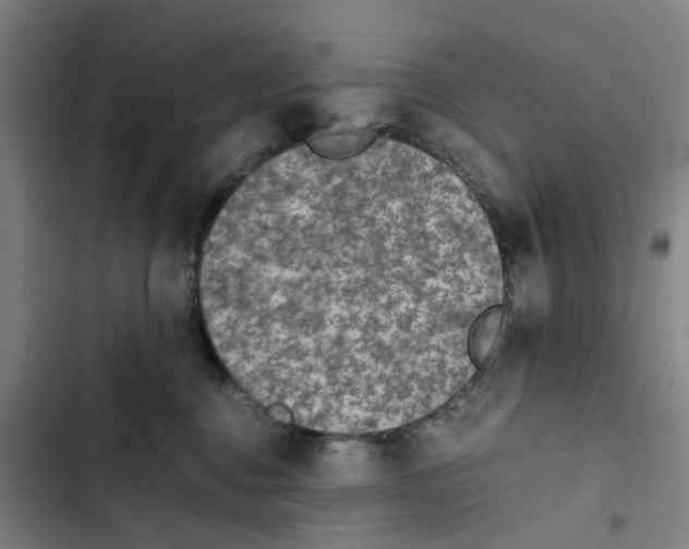 X0000102370376200808291255