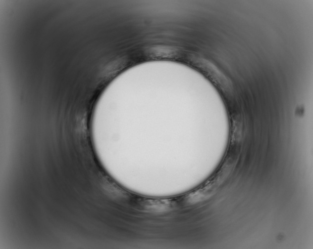 X0000102370377200808291255