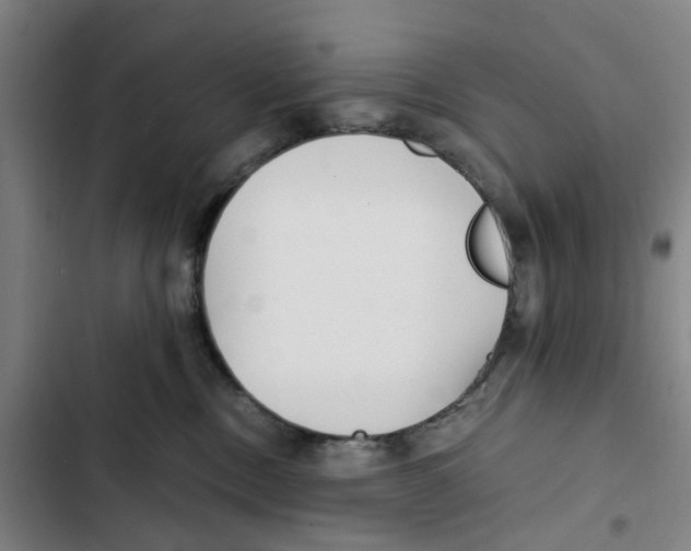 X0000102370378200808291255
