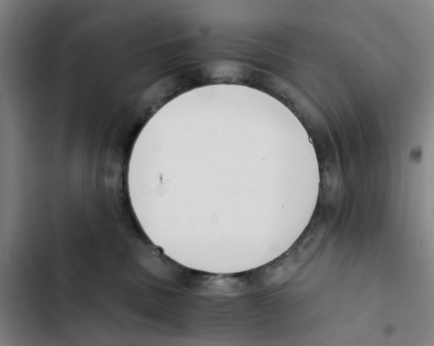 X0000102370379200808291255