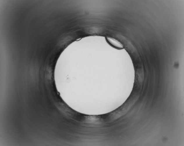 X0000102370380200808291255