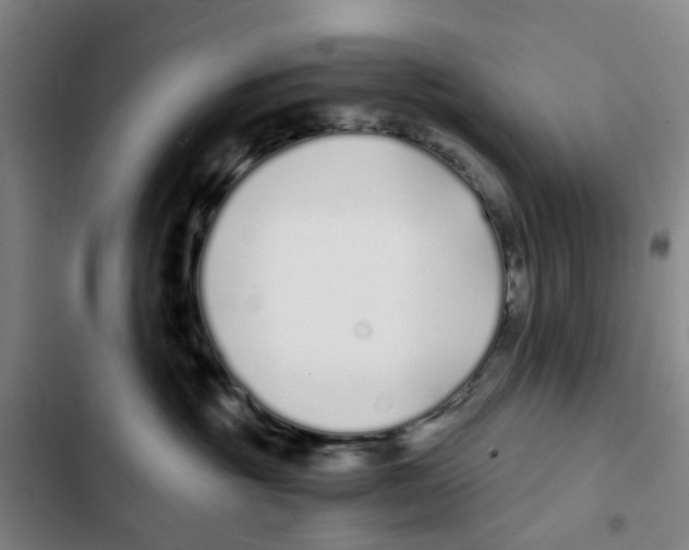 X0000102370381200808291255