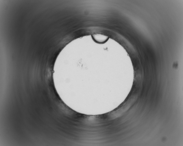 X0000102370382200808291255
