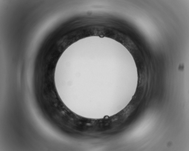 X0000102370383200808291255