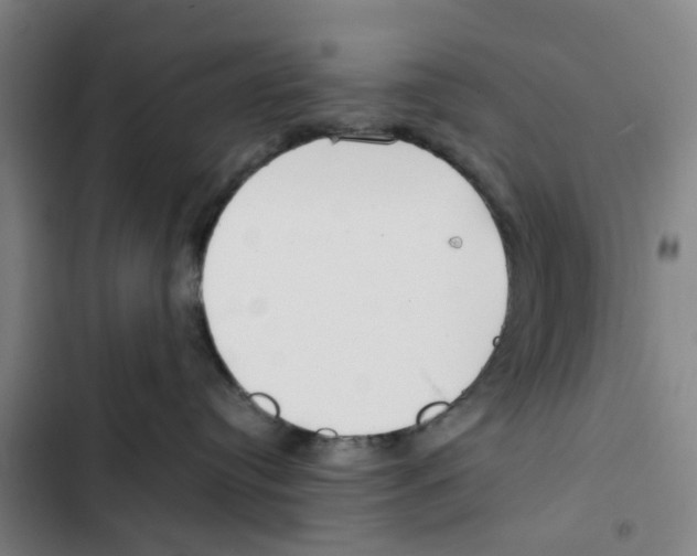 X0000102370384200808291255