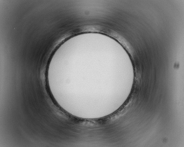 X0000102370386200808291254