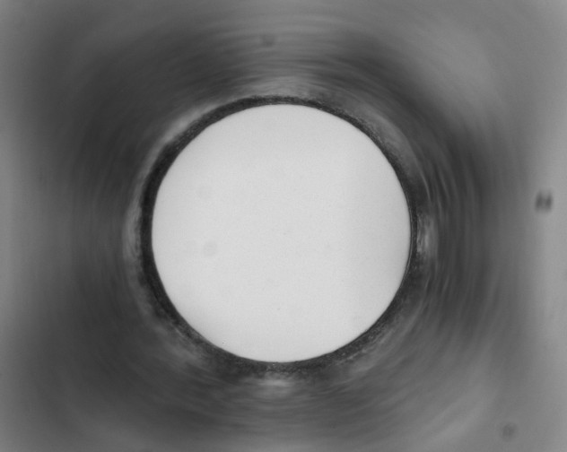 X0000102370388200808291254