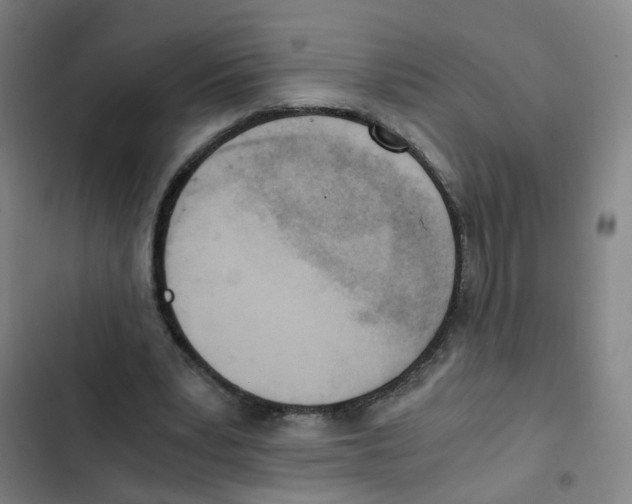 X0000102370391200808291254