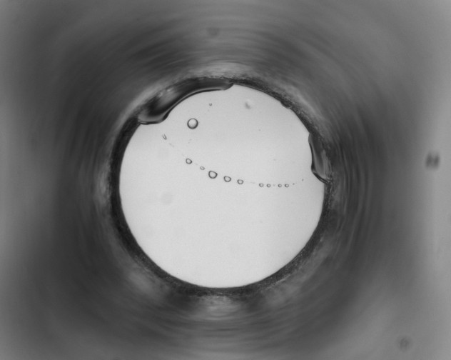 X0000102370392200808291254