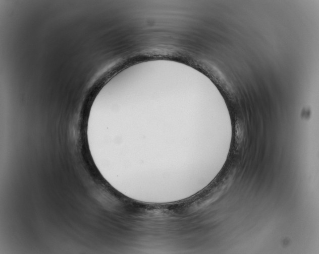 X0000102370396200808291254