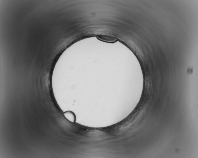 X0000102370397200808291254