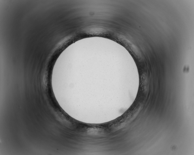 X0000102370400200808291254