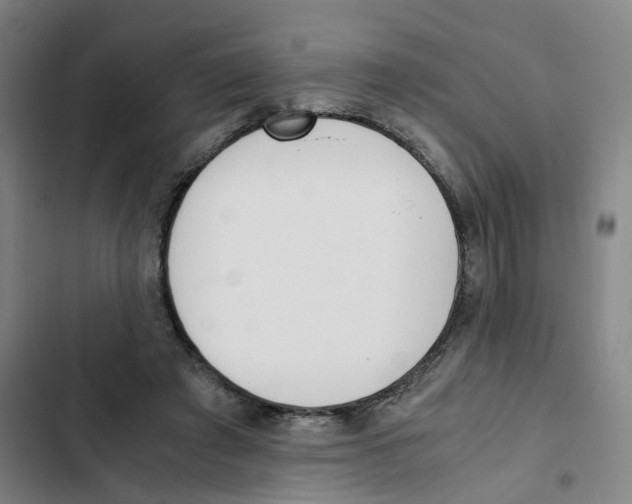 X0000102370401200808291254