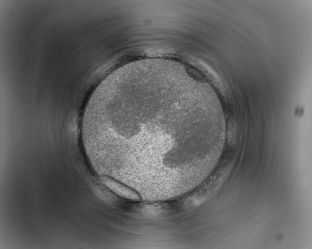 X0000102370405200808291254