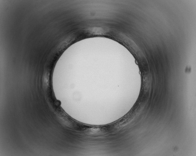 X0000102370406200808291254