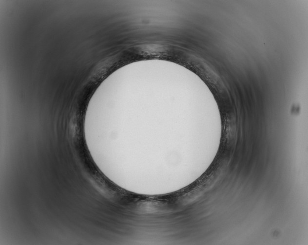 X0000102370408200808291254