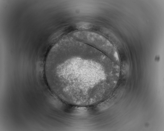 X0000102370409200808291254