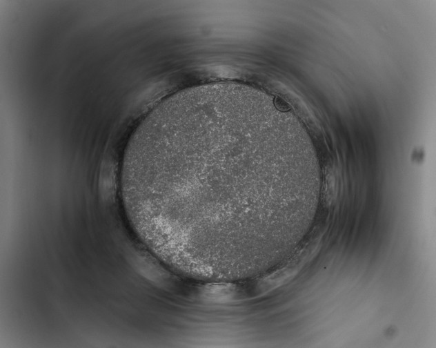 X0000102370410200808291254