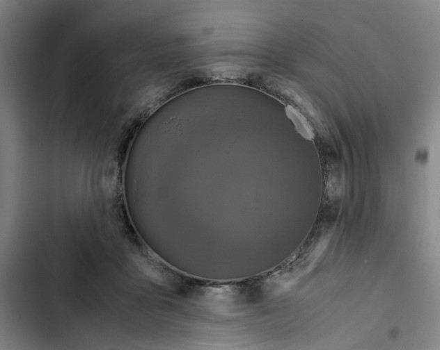X0000102370411200808291254