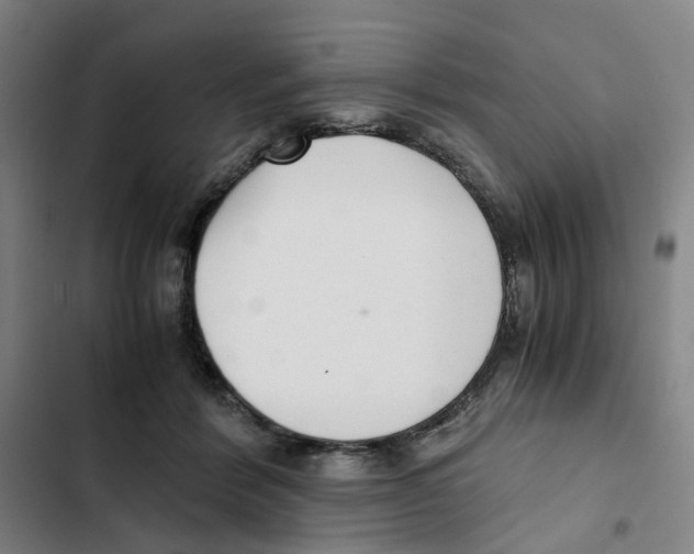 X0000102370412200808291254