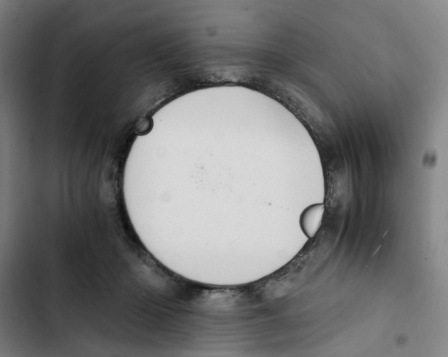 X0000102370414200808291253