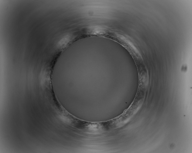 X0000102370415200808291253